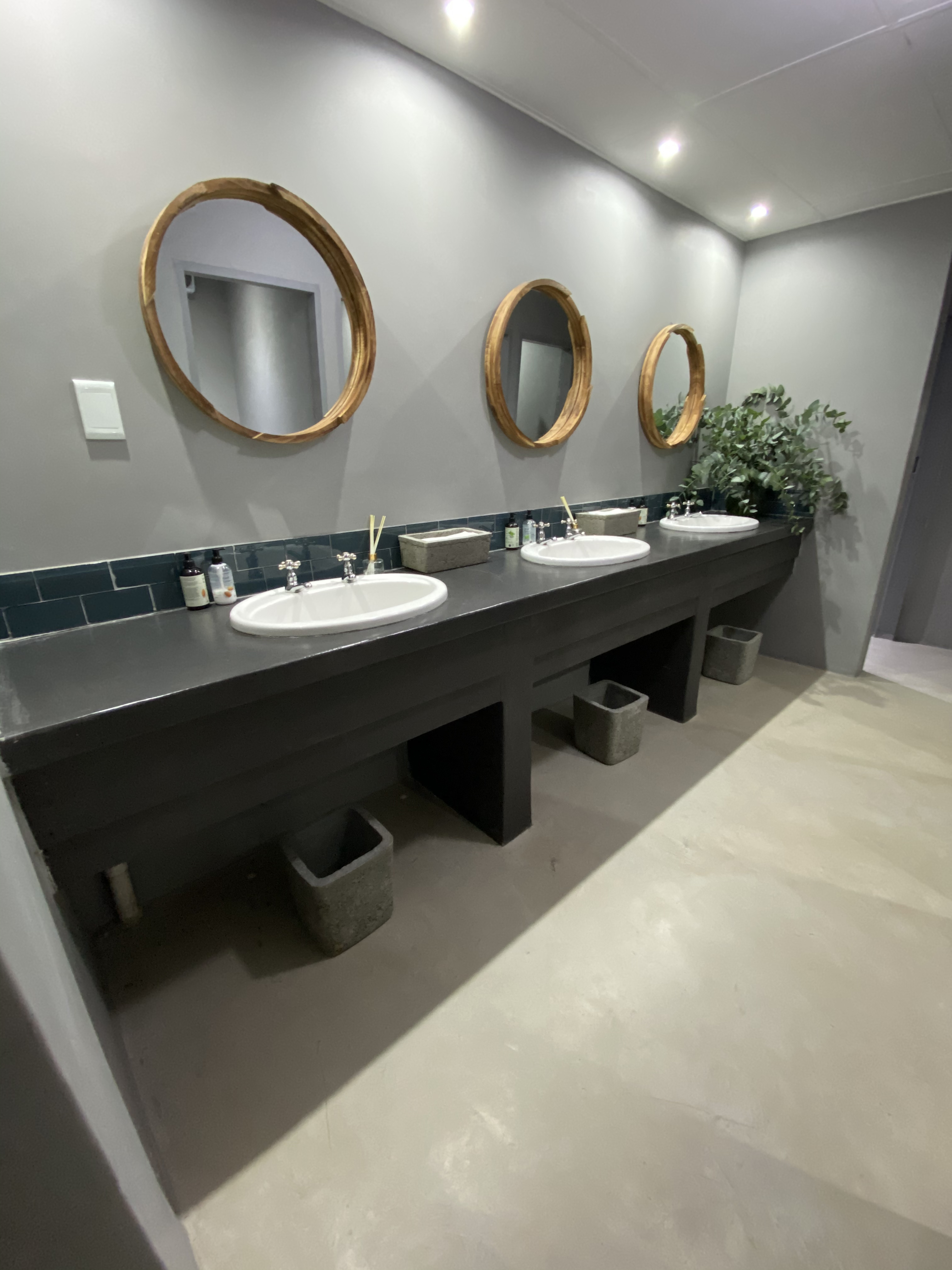 Modern restroom with three round mirrors, black countertop sinks, and decorative greenery
