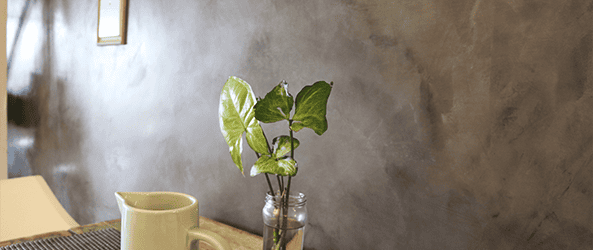 Modern decorative interior wall finish with small plant on a table